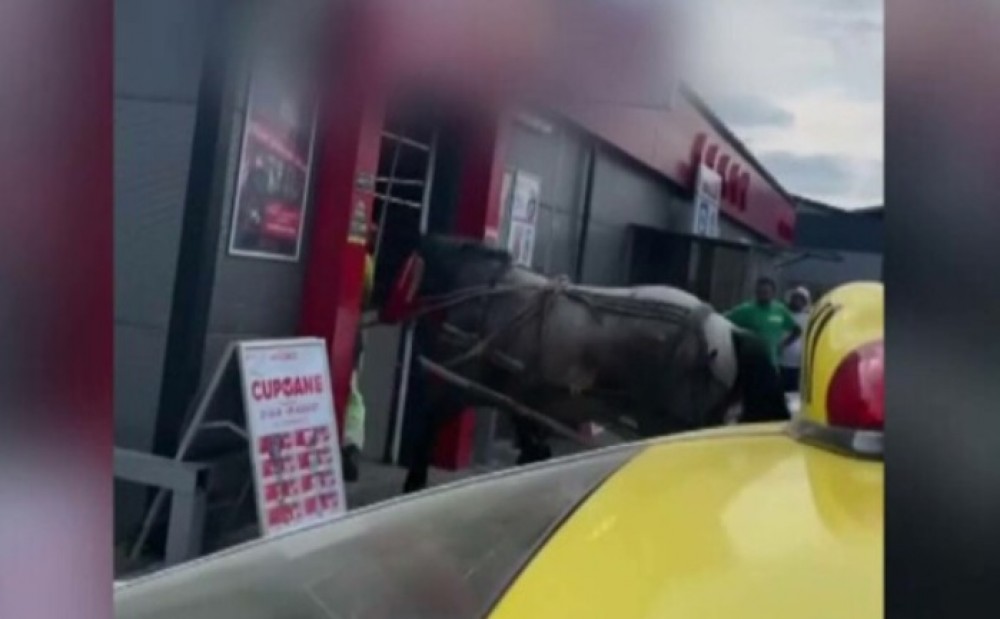 Un bărbat, sub formă de protest, a intrat cu un cal înhămat la căruță într-un supermarket din România
